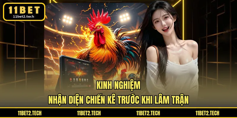 Kinh nghiệm nhận diện chiến kê trước khi lâm trận