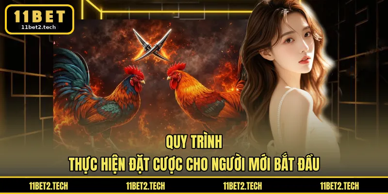 Quy trình thực hiện đặt cược cho người mới bắt đầu