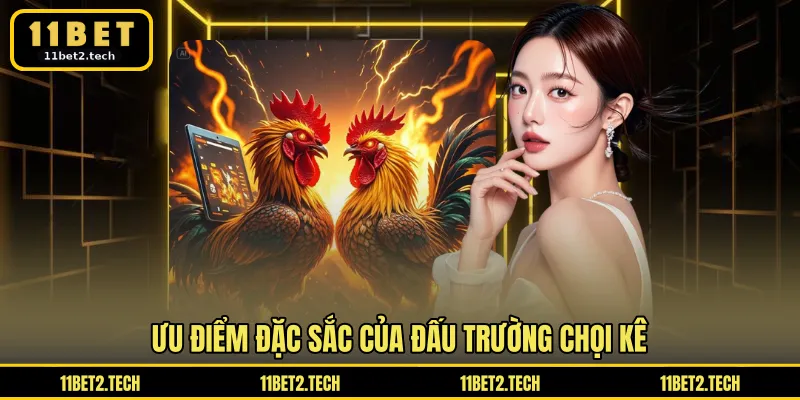 Ưu điểm đặc sắc của đấu trường chọi kê
